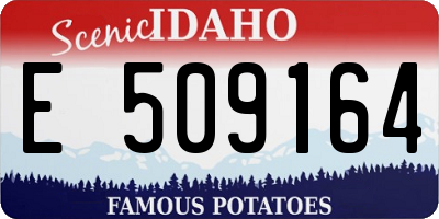 ID license plate E509164