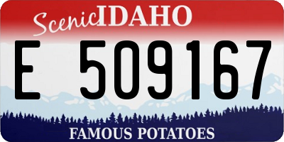 ID license plate E509167