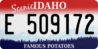 ID license plate E509172