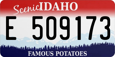 ID license plate E509173