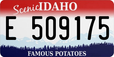 ID license plate E509175
