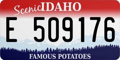 ID license plate E509176