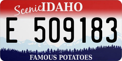 ID license plate E509183