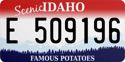 ID license plate E509196