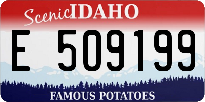 ID license plate E509199