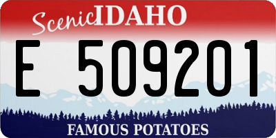ID license plate E509201