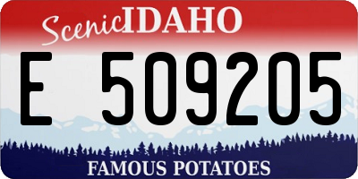 ID license plate E509205