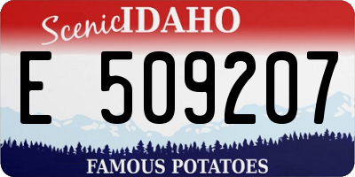 ID license plate E509207