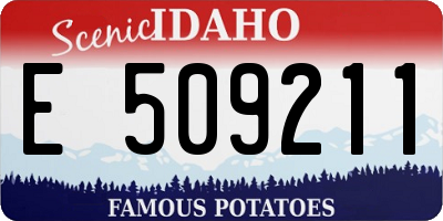 ID license plate E509211