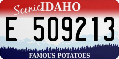 ID license plate E509213