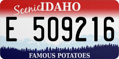 ID license plate E509216