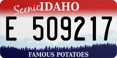 ID license plate E509217