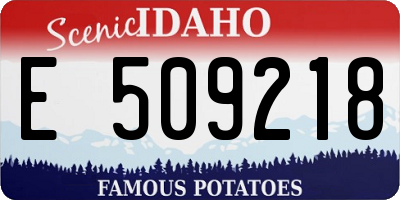 ID license plate E509218