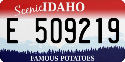 ID license plate E509219