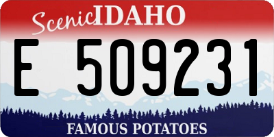 ID license plate E509231