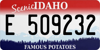 ID license plate E509232