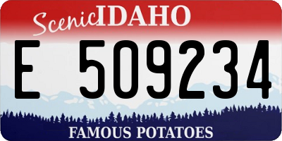 ID license plate E509234