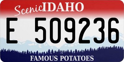 ID license plate E509236