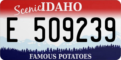 ID license plate E509239