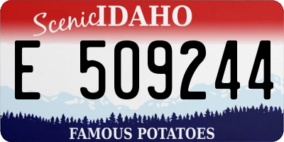 ID license plate E509244
