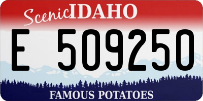 ID license plate E509250