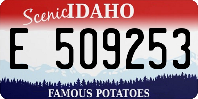 ID license plate E509253