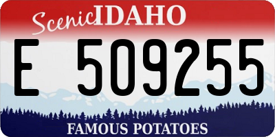 ID license plate E509255