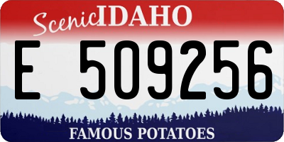 ID license plate E509256