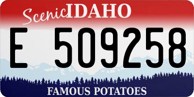 ID license plate E509258