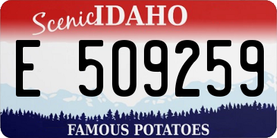 ID license plate E509259
