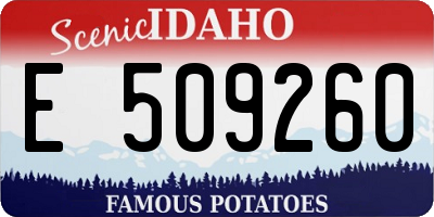 ID license plate E509260