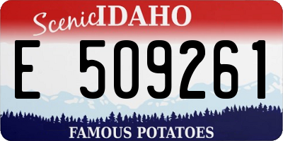 ID license plate E509261