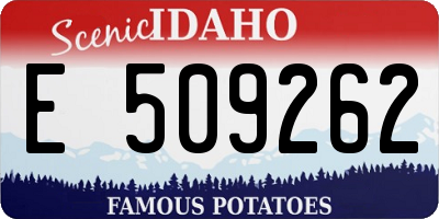 ID license plate E509262