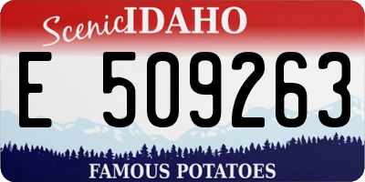 ID license plate E509263