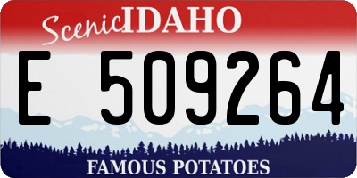 ID license plate E509264