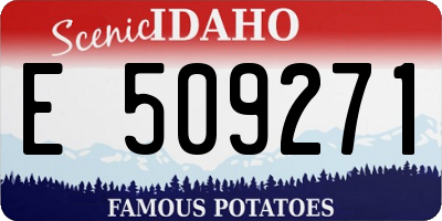 ID license plate E509271