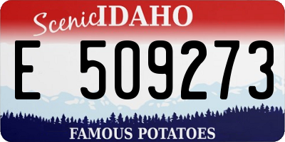 ID license plate E509273