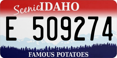 ID license plate E509274