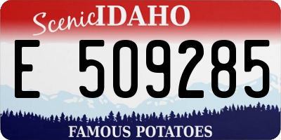 ID license plate E509285