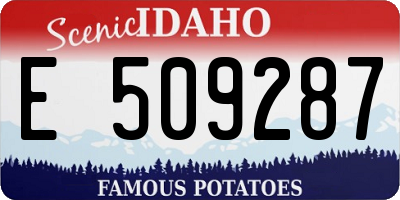 ID license plate E509287