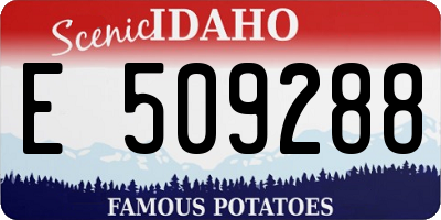 ID license plate E509288
