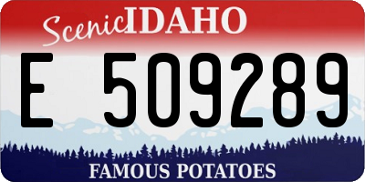 ID license plate E509289