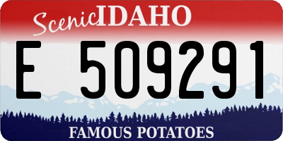 ID license plate E509291