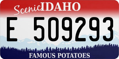 ID license plate E509293