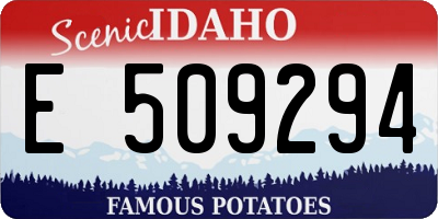 ID license plate E509294