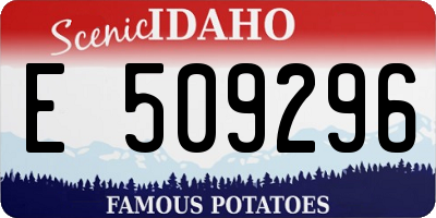 ID license plate E509296