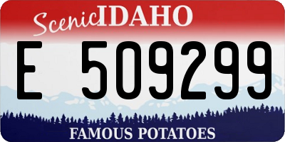 ID license plate E509299