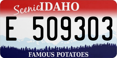 ID license plate E509303