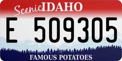 ID license plate E509305