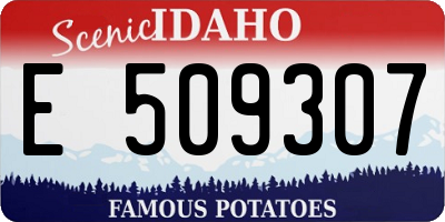 ID license plate E509307